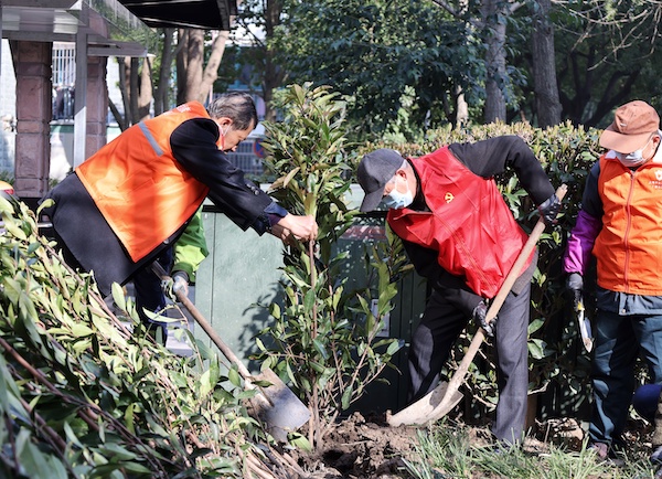 让“扰民树”回归“绿浩瀚体育平台化树”