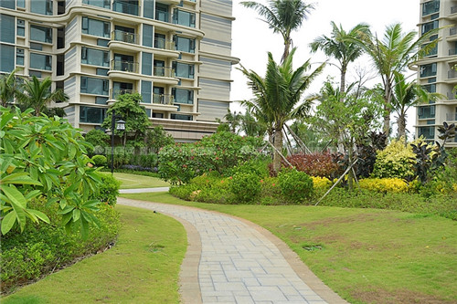 浩瀚体育居住区植物绿化