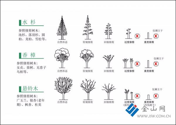 浩瀚体育平台对“砍头”式修剪说“不”！江苏镇江居住区绿化调整“上规矩”(图2)